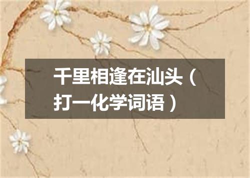 千里相逢在汕头（打一化学词语）