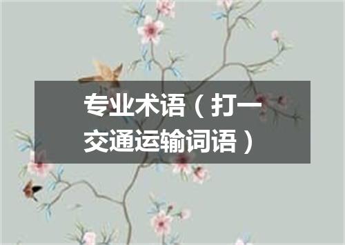 专业术语（打一交通运输词语）