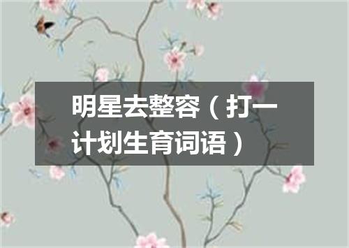 明星去整容（打一计划生育词语）