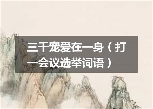 三千宠爱在一身（打一会议选举词语）
