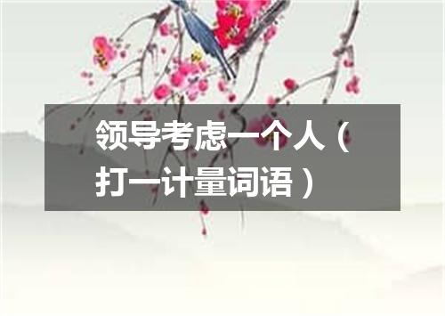 领导考虑一个人（打一计量词语）