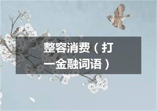 整容消费（打一金融词语）