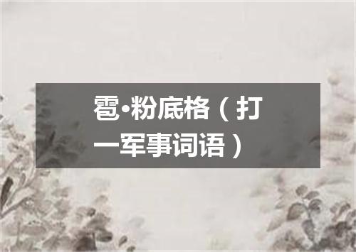 雹·粉底格（打一军事词语）