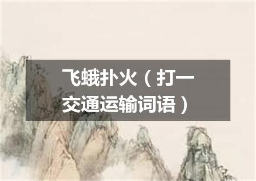 飞蛾扑火（打一交通运输词语）