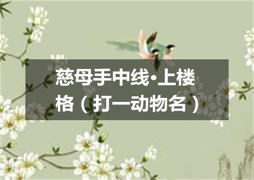 慈母手中线·上楼格（打一动物名）
