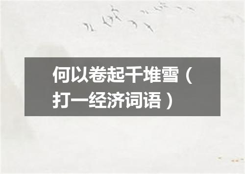 何以卷起千堆雪（打一经济词语）