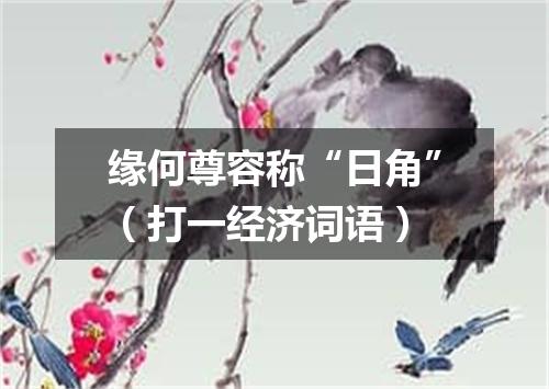 缘何尊容称“日角”（打一经济词语）