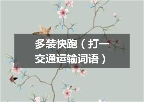 多装快跑（打一交通运输词语）