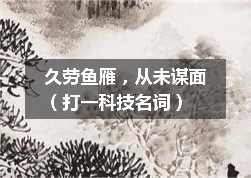久劳鱼雁，从未谋面（打一科技名词）