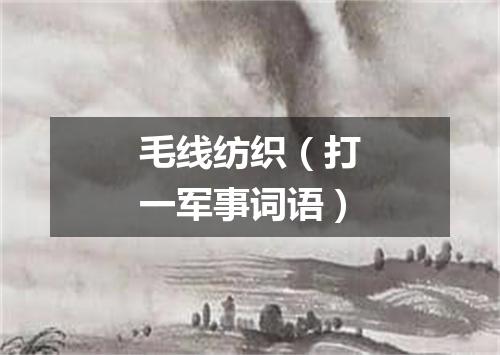 毛线纺织（打一军事词语）