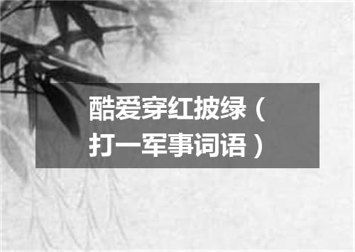 酷爱穿红披绿（打一军事词语）