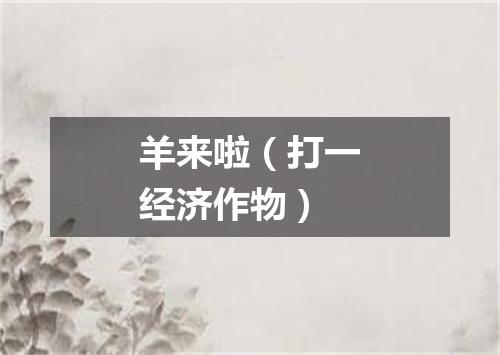 羊来啦（打一经济作物）