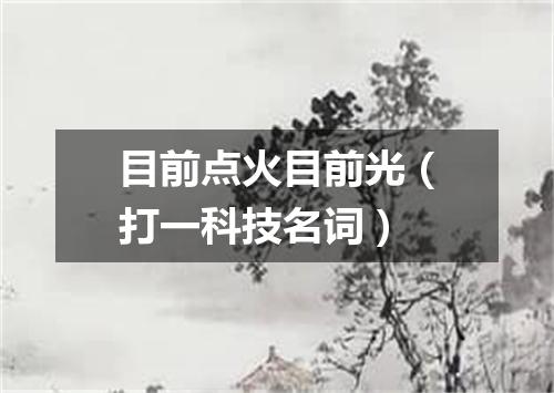 目前点火目前光（打一科技名词）