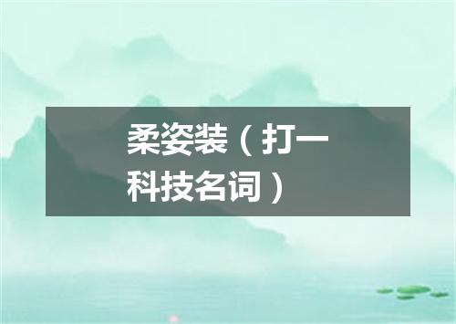 柔姿装（打一科技名词）