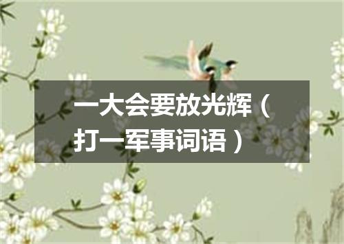 一大会要放光辉（打一军事词语）