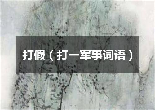 打假（打一军事词语）
