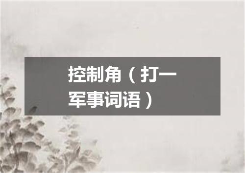 控制角（打一军事词语）
