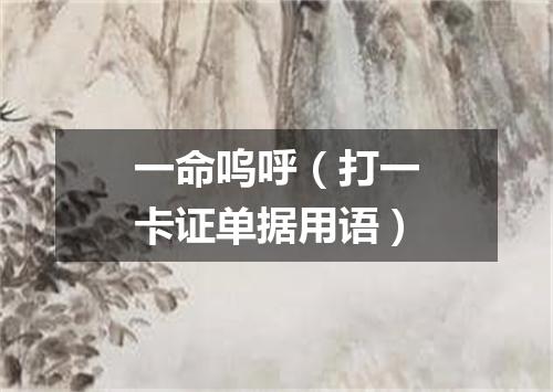 一命呜呼（打一卡证单据用语）