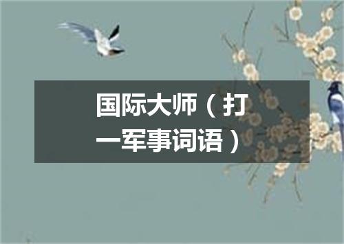 国际大师（打一军事词语）