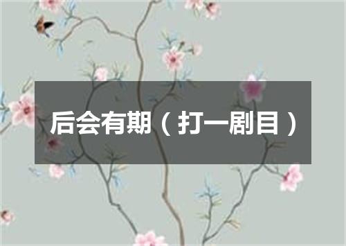 后会有期（打一剧目）