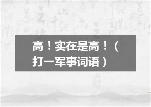 高！实在是高！（打一军事词语）