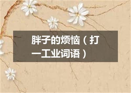 胖子的烦恼（打一工业词语）