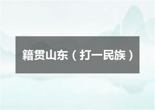 籍贯山东（打一民族）