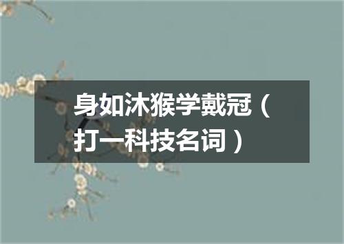 身如沐猴学戴冠（打一科技名词）