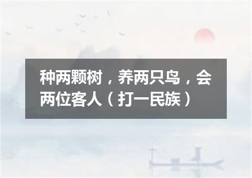 种两颗树，养两只鸟，会两位客人（打一民族）