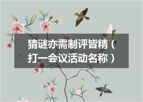 猜谜亦需制评皆精（打一会议活动名称）