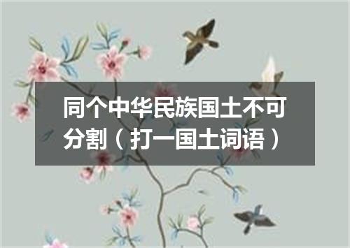 同个中华民族国土不可分割（打一国土词语）