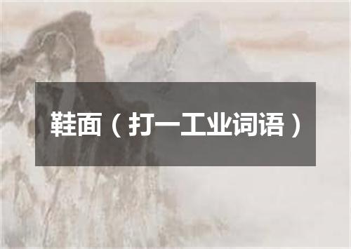 鞋面（打一工业词语）