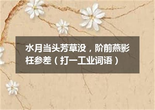 水月当头芳草没，阶前燕影枉参差（打一工业词语）