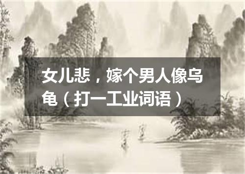 女儿悲，嫁个男人像乌龟（打一工业词语）