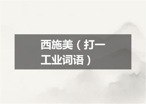 西施美（打一工业词语）