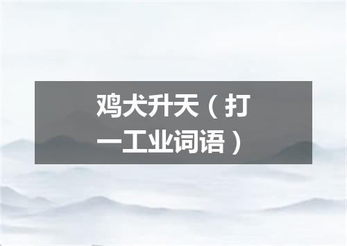鸡犬升天（打一工业词语）