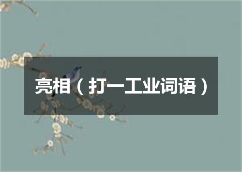 亮相（打一工业词语）