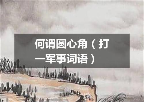 何谓圆心角（打一军事词语）