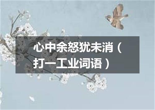 心中余怒犹未消（打一工业词语）