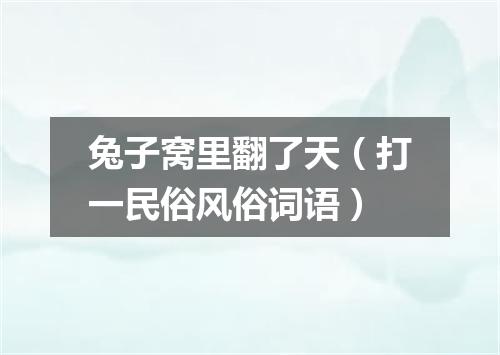 兔子窝里翻了天（打一民俗风俗词语）