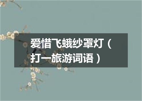 爱惜飞蛾纱罩灯（打一旅游词语）