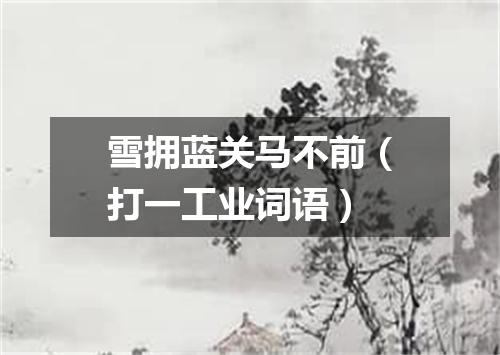 雪拥蓝关马不前（打一工业词语）