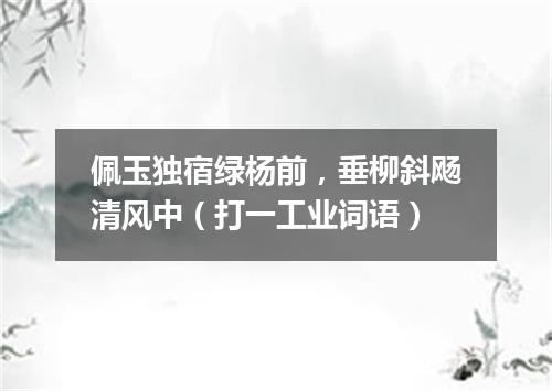 佩玉独宿绿杨前，垂柳斜飏清风中（打一工业词语）