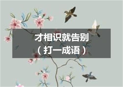 才相识就告别（打一成语）