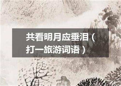 共看明月应垂泪（打一旅游词语）