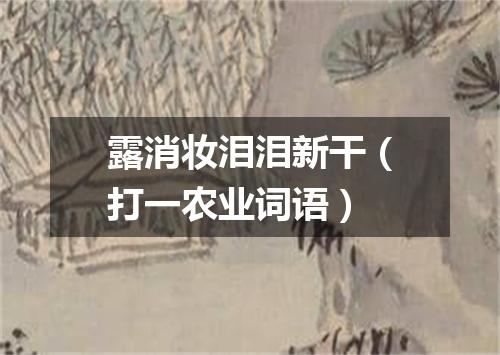 露消妆泪泪新干（打一农业词语）