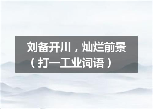 刘备开川，灿烂前景（打一工业词语）