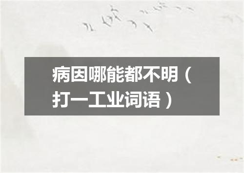 病因哪能都不明（打一工业词语）