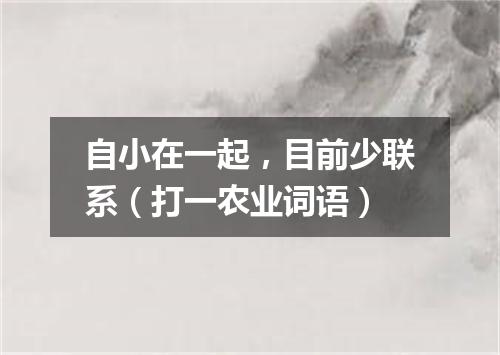 自小在一起，目前少联系（打一农业词语）