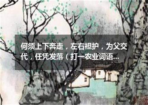 何须上下奔走，左右袒护，为父交代，任凭发落（打一农业词语）